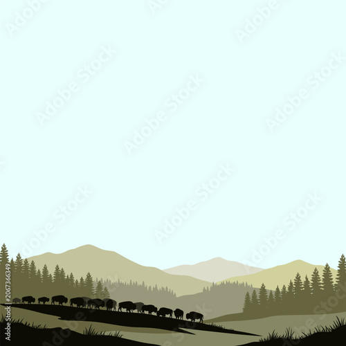 Photography Bison Buffalo Herd Silhouette in Wild Mountain Ridge Valley Landscape - Landscap
