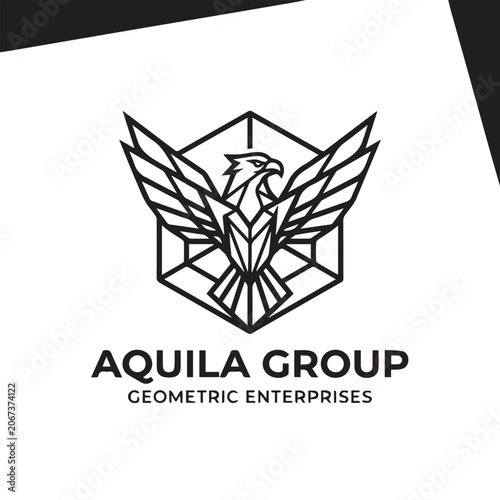 Bild auf Leinwand Abstract geometric eagle head inside hexagon emblem with geometric, business