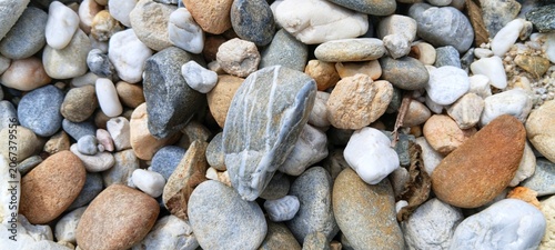 Canvas Print Smooth river rocks lining the bottom of a shallow stream, showcasing a healthy a