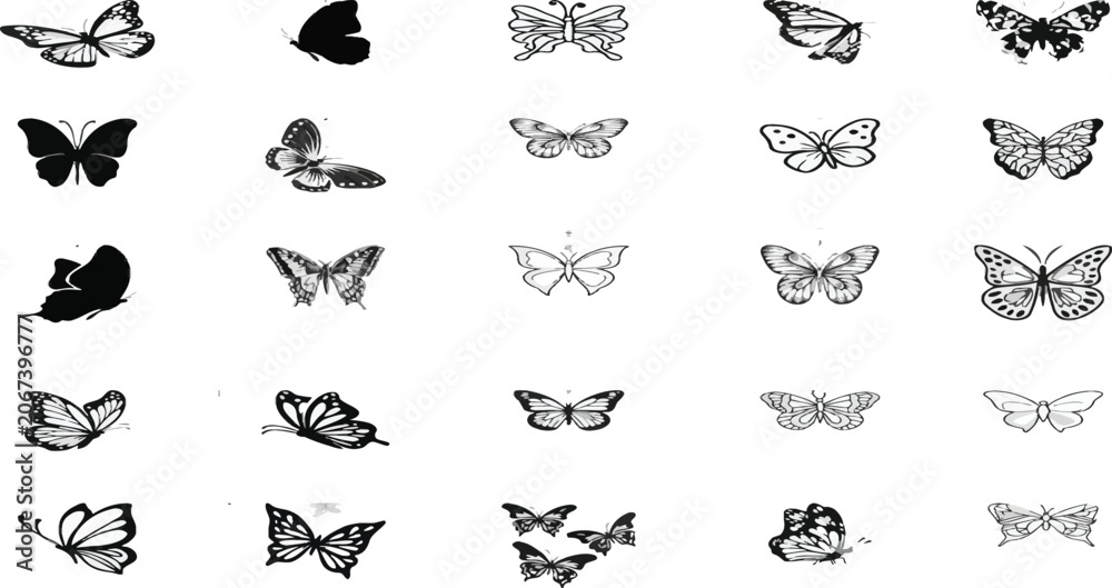 Obraz premium Butterfly vector collection