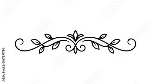 Elegant floral flourish divider with symmetrical leaves and swirls