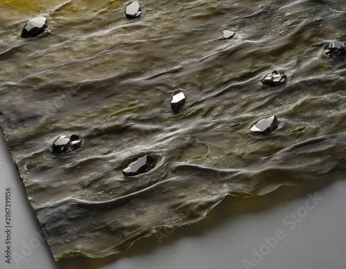 Dried Seaweed Sheet with Obsidian Stones Embedded in Its Surface, Macro Photography