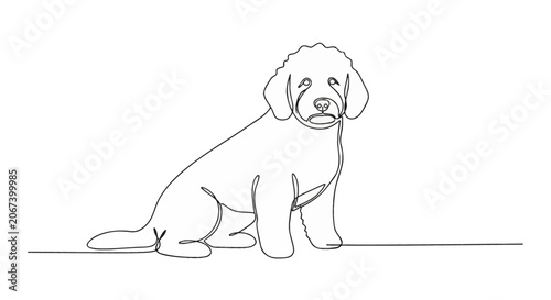 Continuous one line drawing of a Portuguese Water Dog puppy sitting. Minimalist black line art illustration of a curly-haired purebred canine pet isolated on a white background.