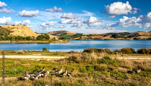Scenic lake landscape with geese