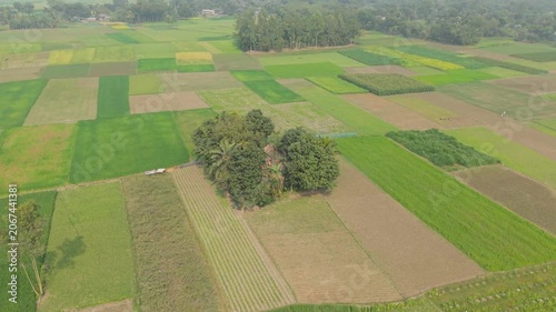 Aerial View of Patchwork Farmland with Green Fields and Hedgerows Under Soft Daylight for Agriculture Planning Concept