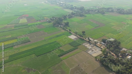 Aerial Landscape View Over Green Agricultural Fields with a Winding Road and Scattered Trees Stretching Into Distance