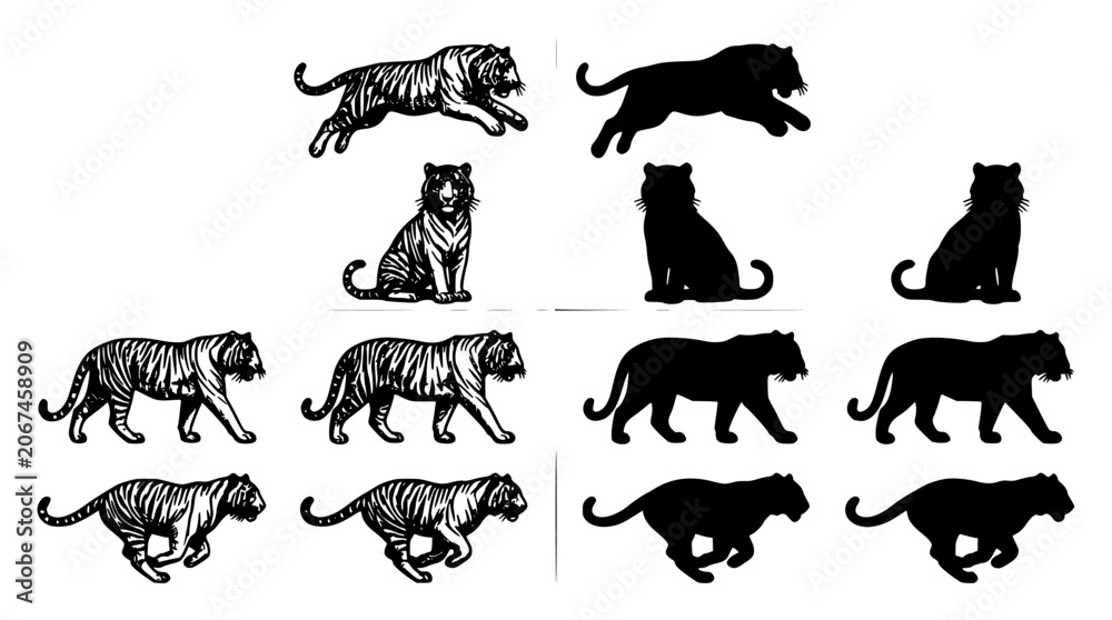 Fototapeta premium Cat, Tiger and Lion Silhouettes in Black and White, Detailed Ink Style Drawing for Animal Concept Design