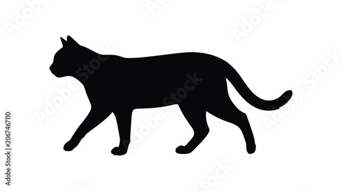 Bild auf Leinwand Walking feline silhouette against a white background silhouette