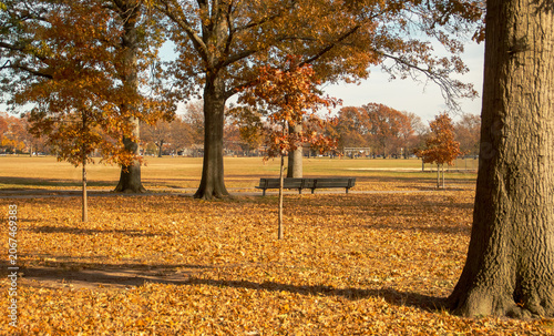 Césped de un parque cubierto de hojas otoñales caídas de los árboles. Campo de críquet de Marine Park en Long Island, Nueva York, EEUU. Noviembre de 2018.