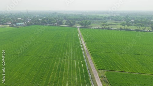 Aerial Landscape View of Rural Farmland with Green Fields, Hedgerows, and a Straight Dirt Road in Soft Haze