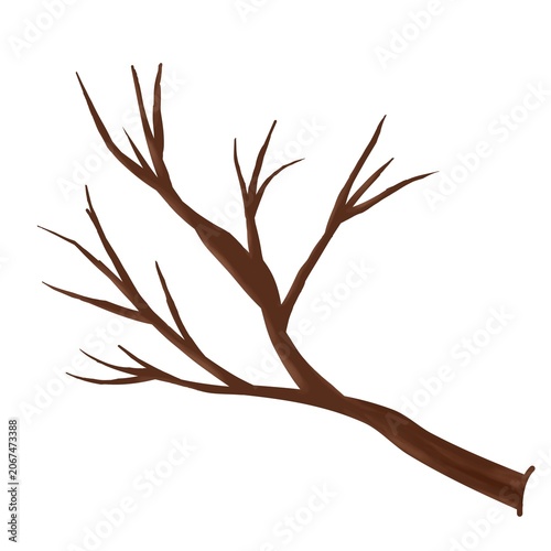 Bare dry tree branch isolated cartoon vector illustration