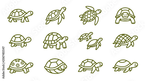 Turtles and tortoises are shown in various poses and k (44) line styles.
