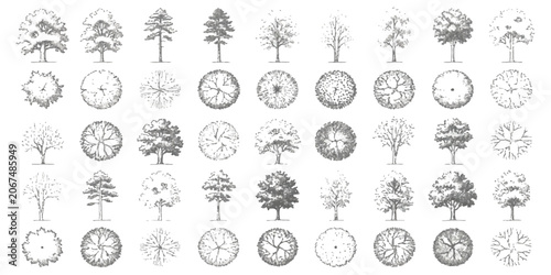 Fotografia Collection of hand drawn tree sketches showing side and top view for landscape d