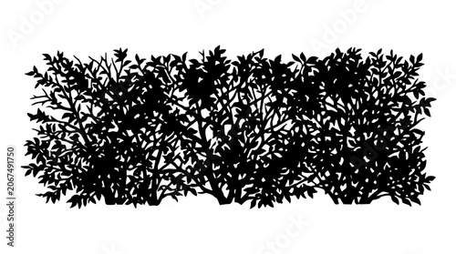 Garden hedge bush silhouette isolated on white background