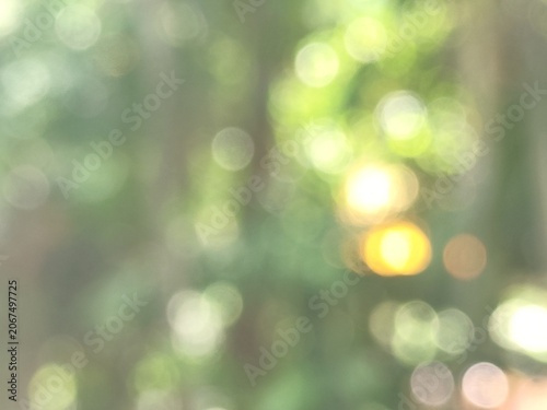 green bokeh abstract light background, defocused nature background.