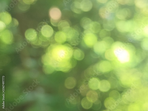 green bokeh abstract light background, defocused nature background.