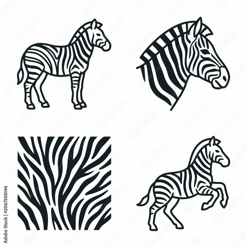 Obraz premium Set of black and white zebra illustrations on white background