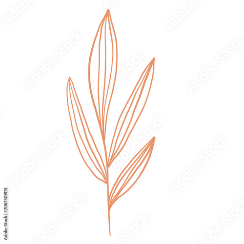 autumn leaves isolated on white