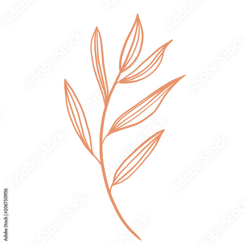 vector illustration of a leaf