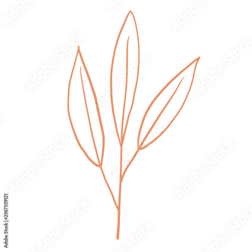 autumn leaves isolated on white