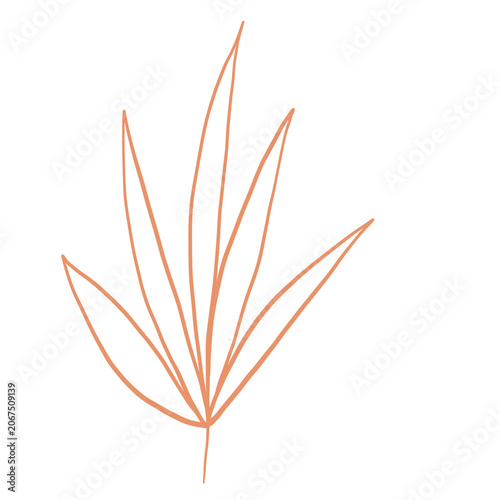vector illustration of a wheat isolated