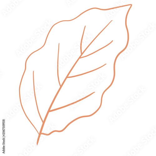 hand holding a leaf