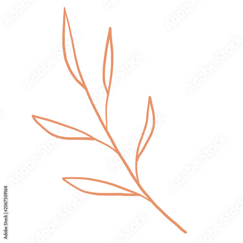 autumn leaves vector