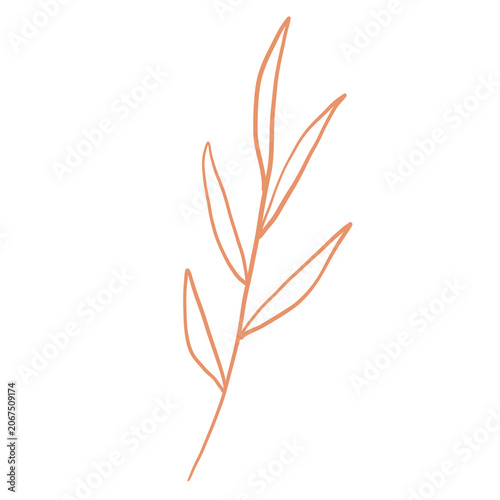 vector illustration of an autumn leaves