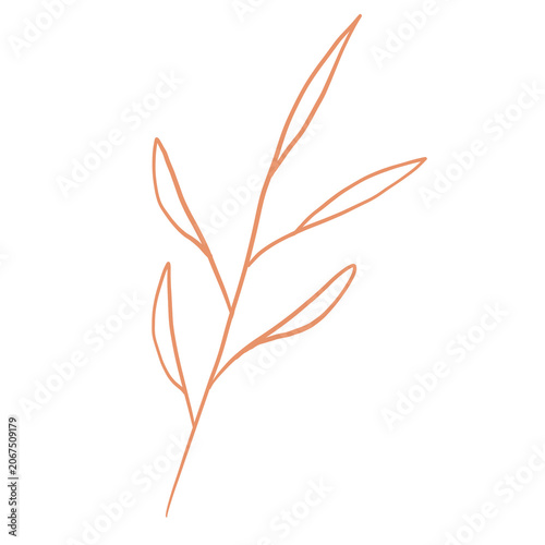 vector illustration of a leaf