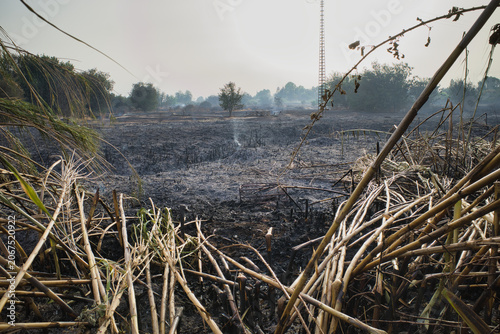Smoke hangs over the scorched earth, charred branches framing the view. Burnt grass stands out against the hazy, smoky sky. A tall tower rises in the distance, silhouetted against the mist.