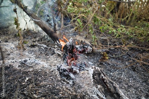 Embers glow atop smoldering branches. Ash covers ground where fire once raged. Twigs and leaves lie charred and brittle. Smoke curls upward from the scorched earth