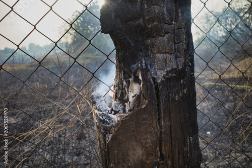 Smoke curls from a charred tree stump behind chain-link fencing. Dry brush and ash surround the scorched wood. The scene whispers of fire's aftermath and quiet decay