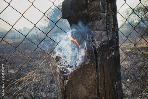 Smoke spirals up from a charred wooden post behind a rusted fence. Ashes glow faintly against a somber gray sky, as if after the fire. The landscape lies silent, smoldering, and devoid of vegetation. 
