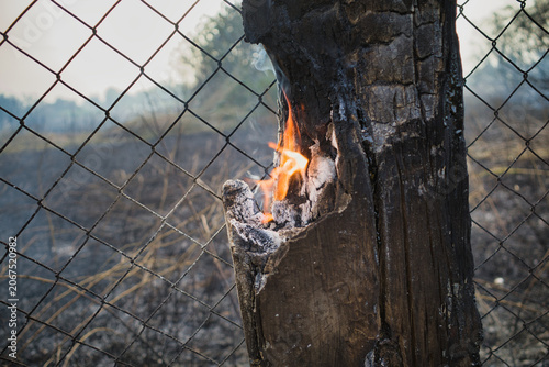 Embers glow from charred wood behind a rusted chain-link fence. Smoke curls upward, hazy, from a smoldering post. Burnt earth stretches behind the wire, silent. Fires have scorched this land