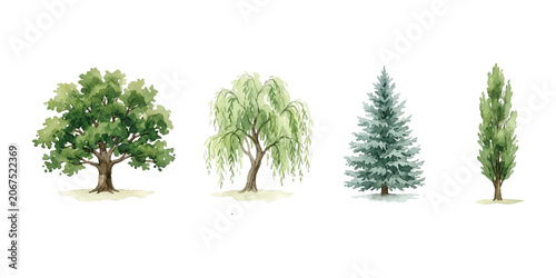 Bild auf Leinwand Set of four different realistic green trees including oak willow pine and poplar