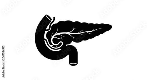 Human pancreas and duodenum anatomy vector icon