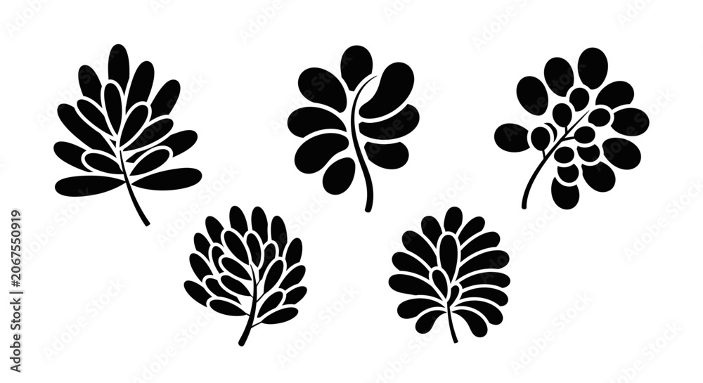 Obraz premium Black Silhouette Leafy Branches - Organic Botanical Vector Graphics