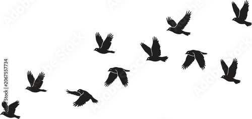 Fotografía Flying Birds Flock Silhouette, Migrating Avian Wildlife Diagonal Vector, vector, illustration, silhouette