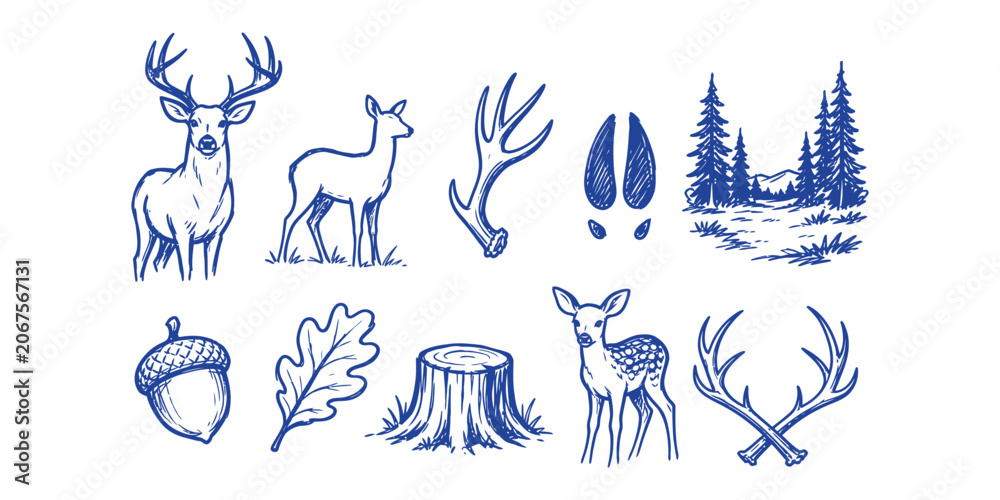 Fototapeta premium deer hunting elements and forest wildlife doodle icon set with buck doe antler hoof print pine woods acorn oak leaf tree stump and fawn vector illustration