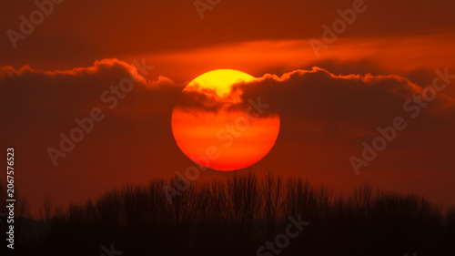 Large orange sun setting behind dark tree line and clouds with silhouette landscape twilight outdoors atmosphere wilderness sunlight contrast abstract