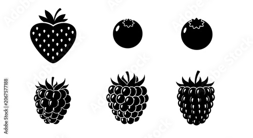 Black and white stylized pine cone illustrations.