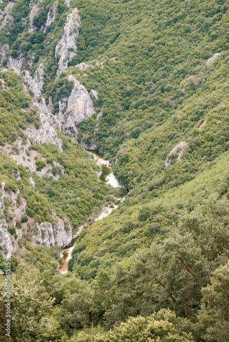 River winding through a deep green valley gorge