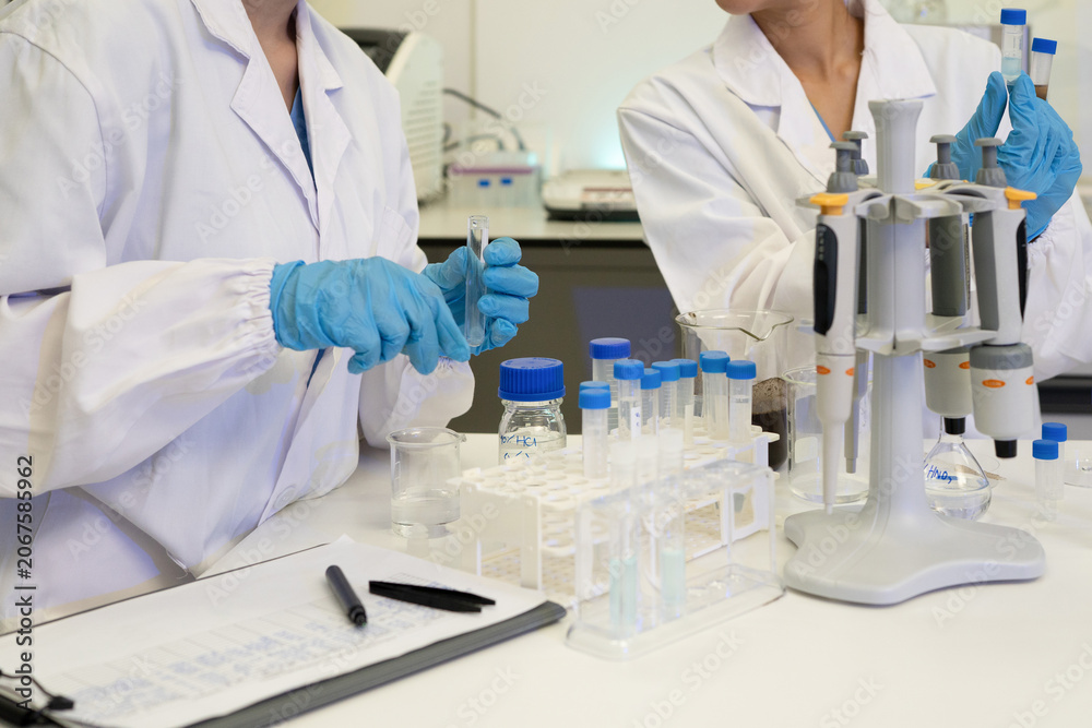 Fototapeta premium Two Scientists in White Lab Coats Working with Test Tubes and Pipettes in a Research Laboratory