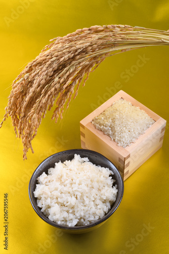 金色背景の枡に盛った米と茶碗のご飯と稲穂
