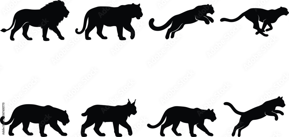 Obraz premium Wild big cats black silhouette vector set featuring lion tiger leopard cheetah and lynx predators