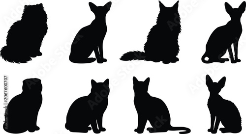 Photography Domestic cat breeds black silhouette vector icon set featuring fluffy and short