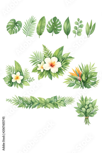 Vibrant botanical graphics with tropical leaves and flowers.