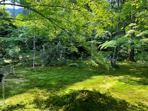 Sanzen-in Temple in Ohara, Kyoto, Japan	