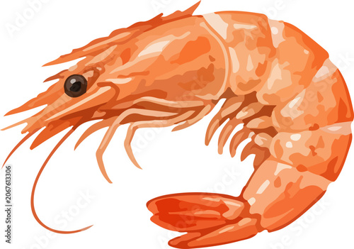 Tableau sur toile Fresh Shrimp Illustration Isolated Seafood Ingredient For Cooking Menu And Food
