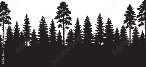 Fotografie Dense Pine Forest Silhouette Border Vector